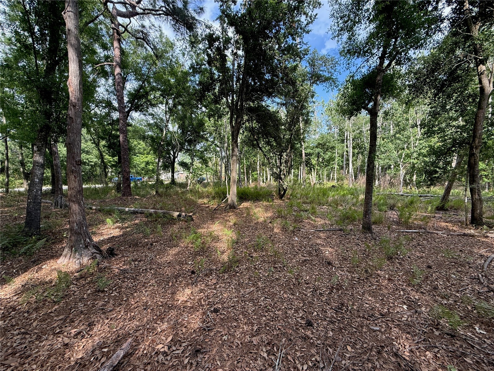 Quail Hollow Boulevard Wesley Chapel FL 33544 TB8494232 image10