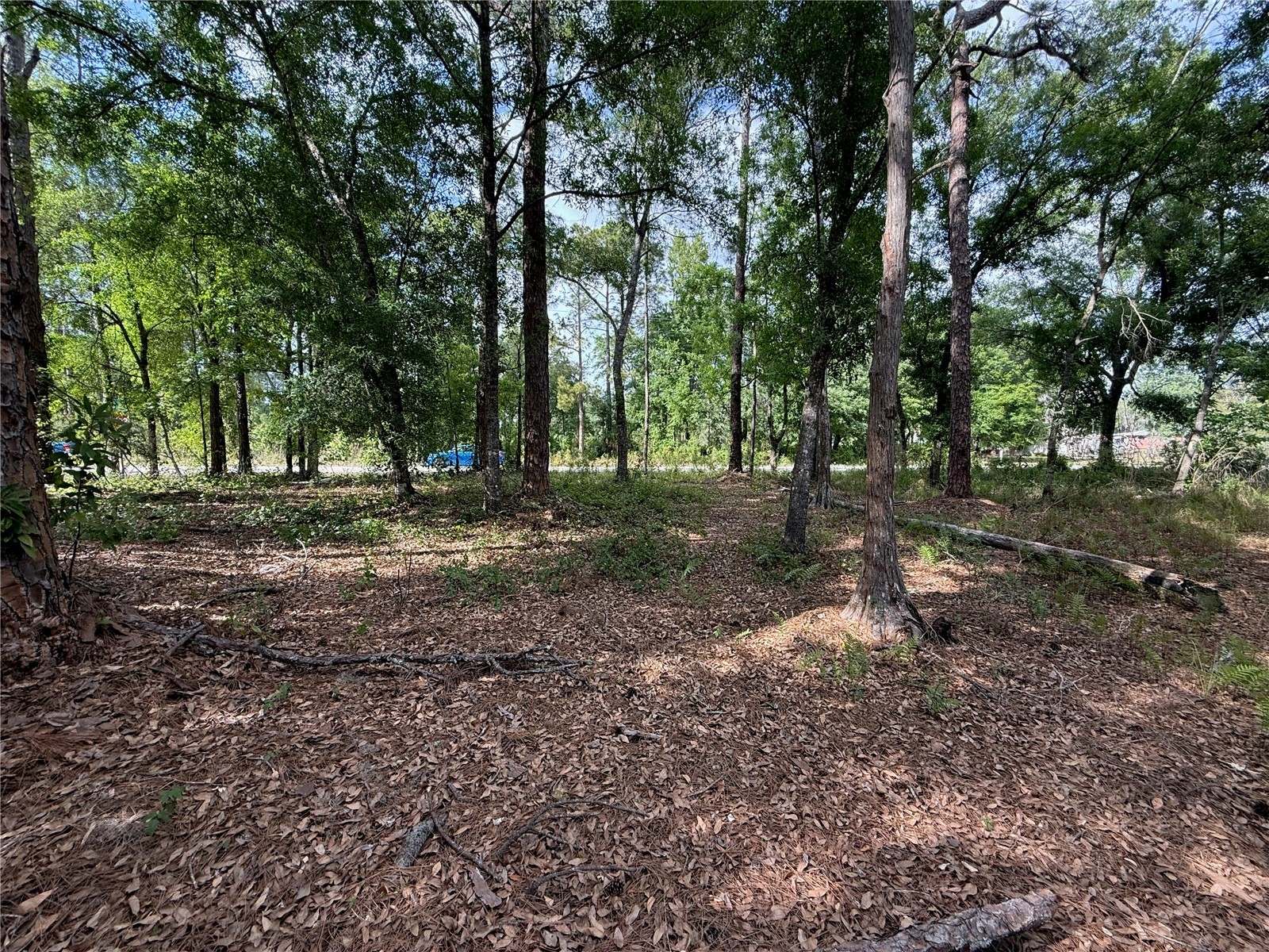 Quail Hollow Boulevard Wesley Chapel FL 33544 TB8494232 image11