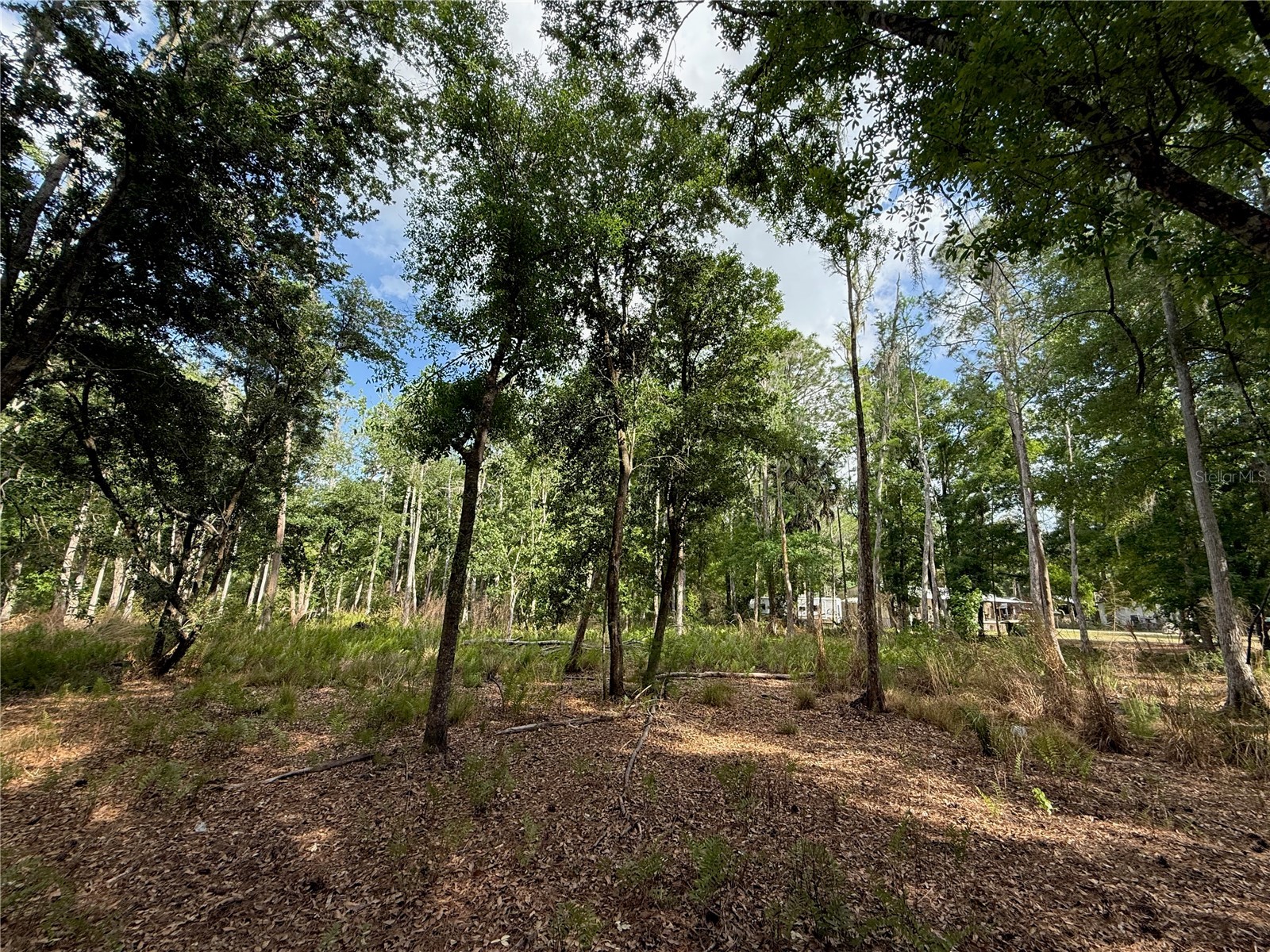 Quail Hollow Boulevard Wesley Chapel FL 33544 TB8494232 image12
