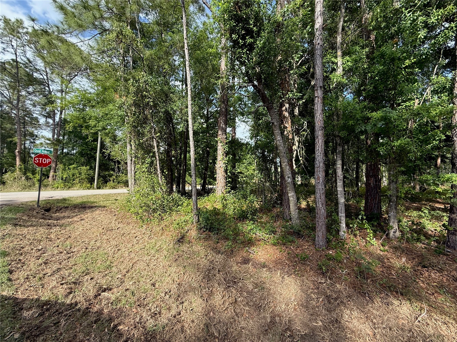 Quail Hollow Boulevard Wesley Chapel FL 33544 TB8494232 image13