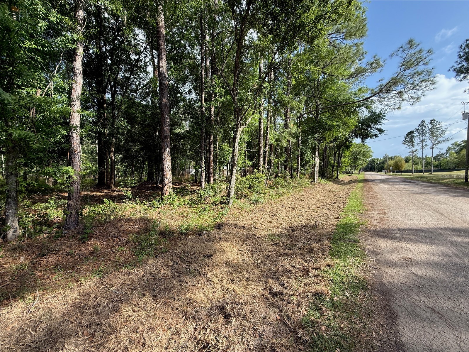 Quail Hollow Boulevard Wesley Chapel FL 33544 TB8494232 image14
