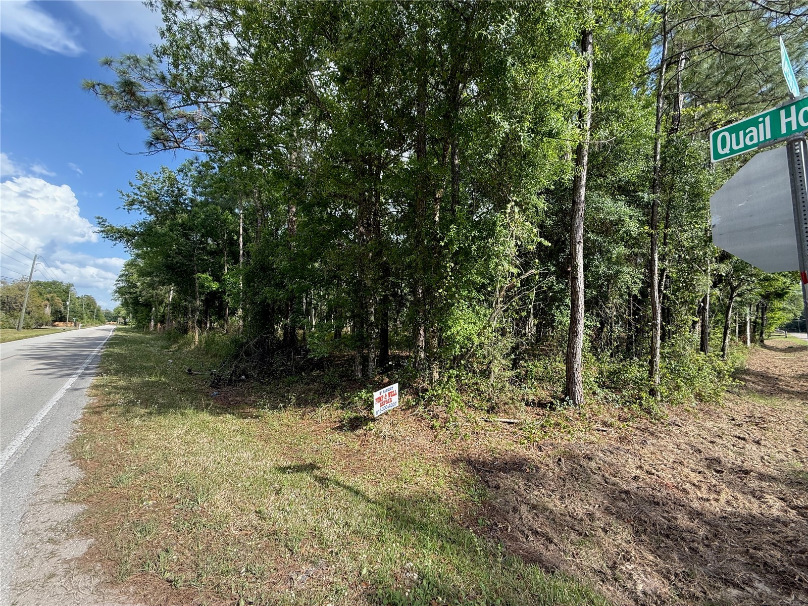 Quail Hollow Boulevard Wesley Chapel FL 33544 TB8494232 image15