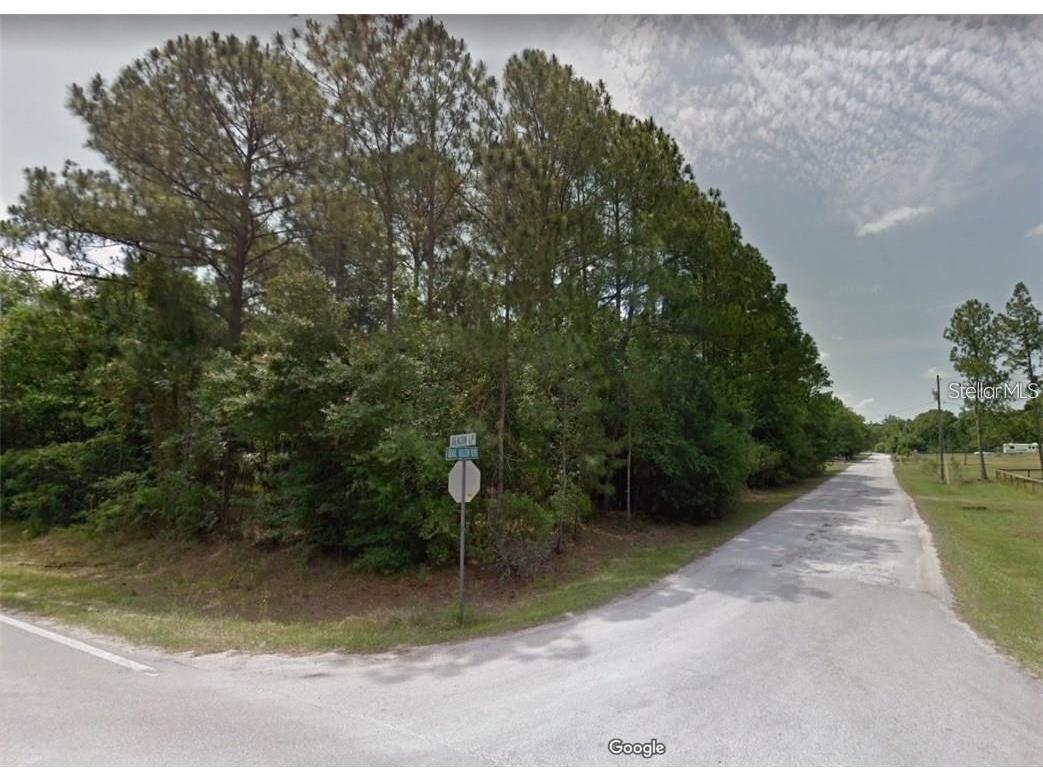 Quail Hollow Boulevard Wesley Chapel FL 33544 TB8494232 image2