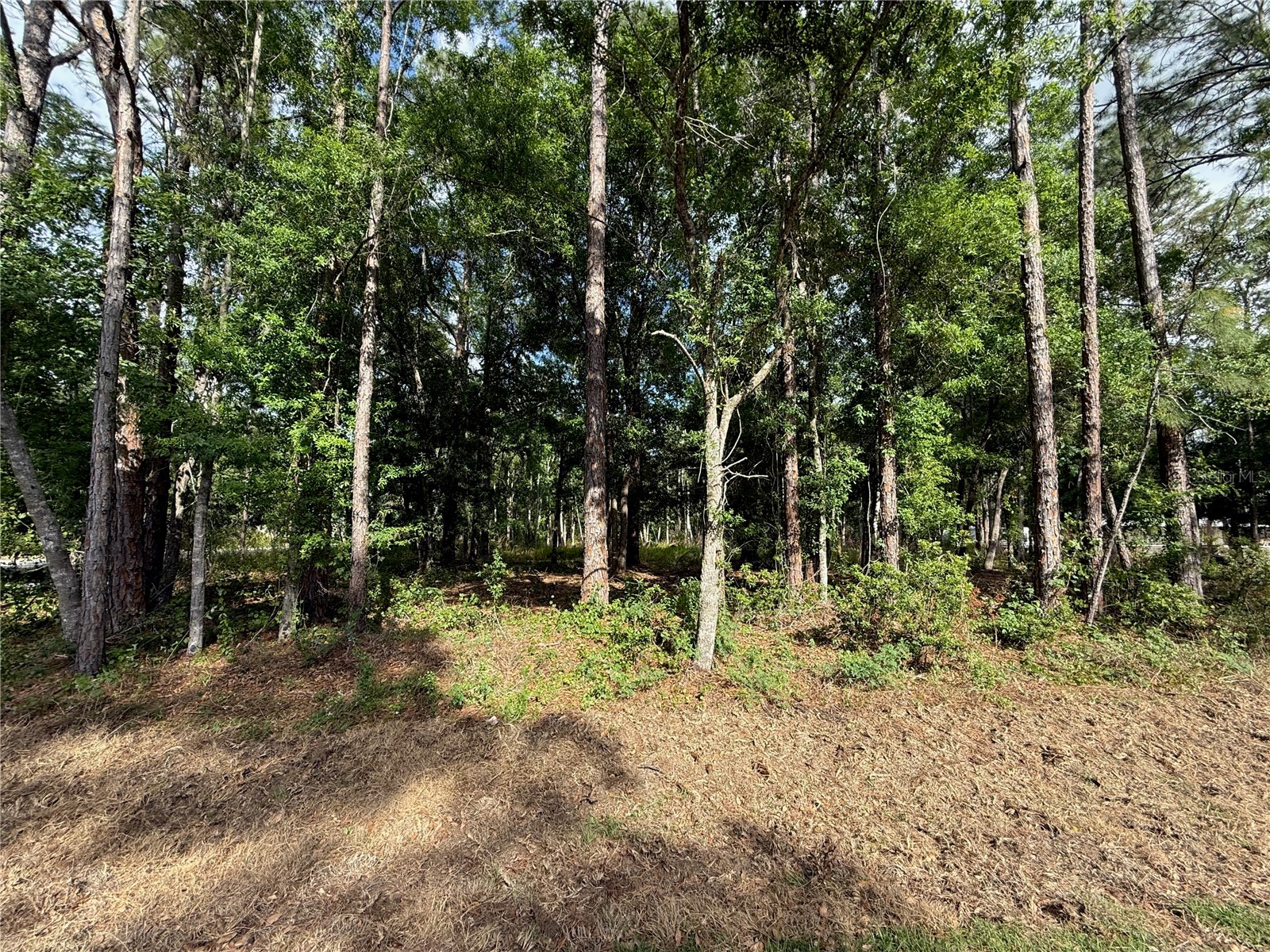 Quail Hollow Boulevard Wesley Chapel FL 33544 TB8494232 image5