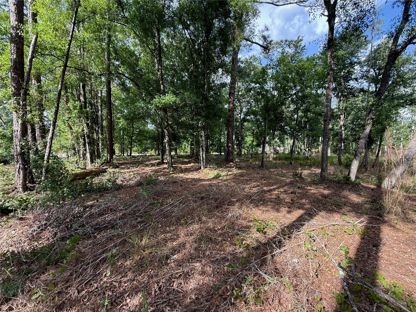 Quail Hollow Boulevard Wesley Chapel FL 33544 TB8494232 image6