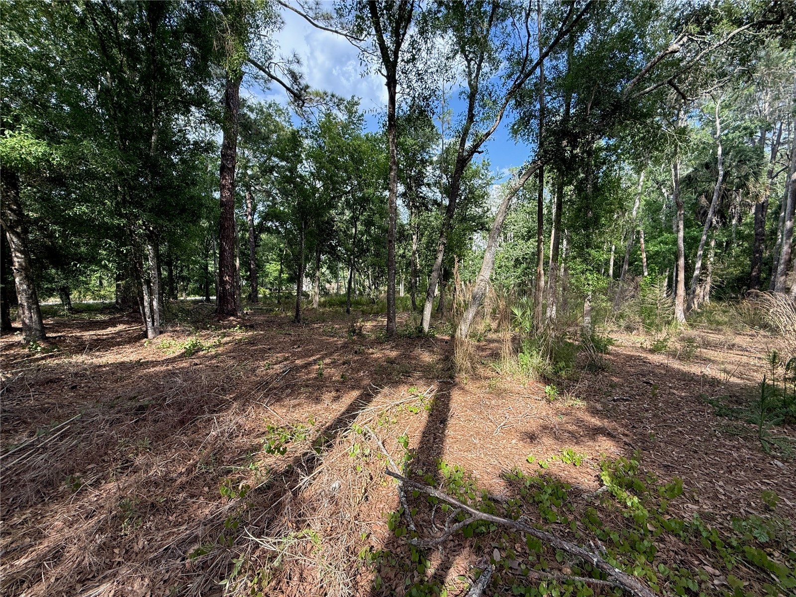Quail Hollow Boulevard Wesley Chapel FL 33544 TB8494232 image7