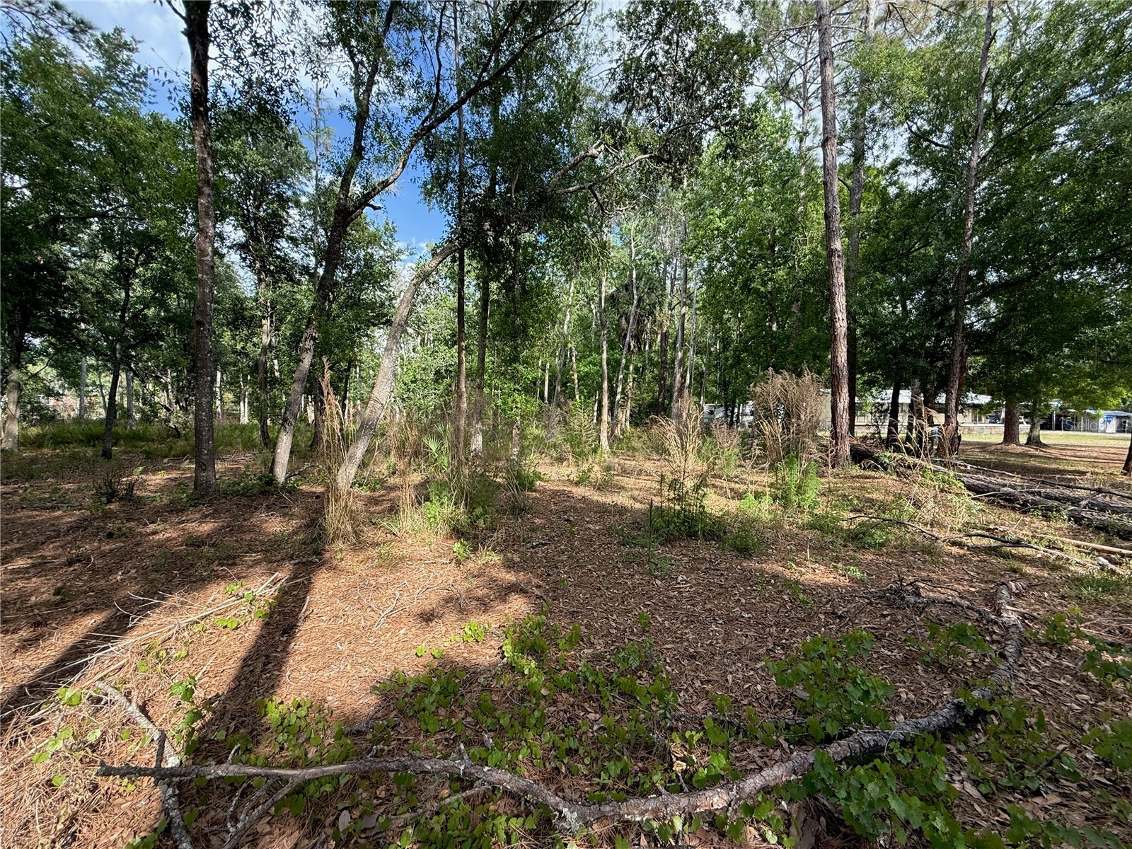 Quail Hollow Boulevard Wesley Chapel FL 33544 TB8494232 image8