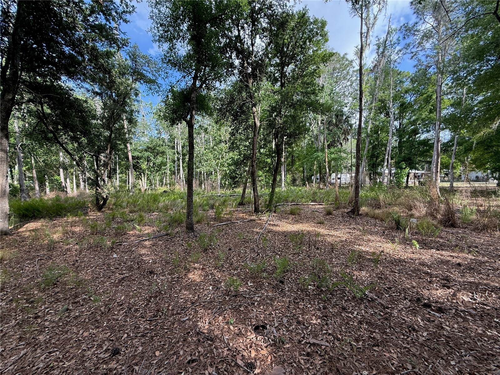 Quail Hollow Boulevard Wesley Chapel FL 33544 TB8494232 image9