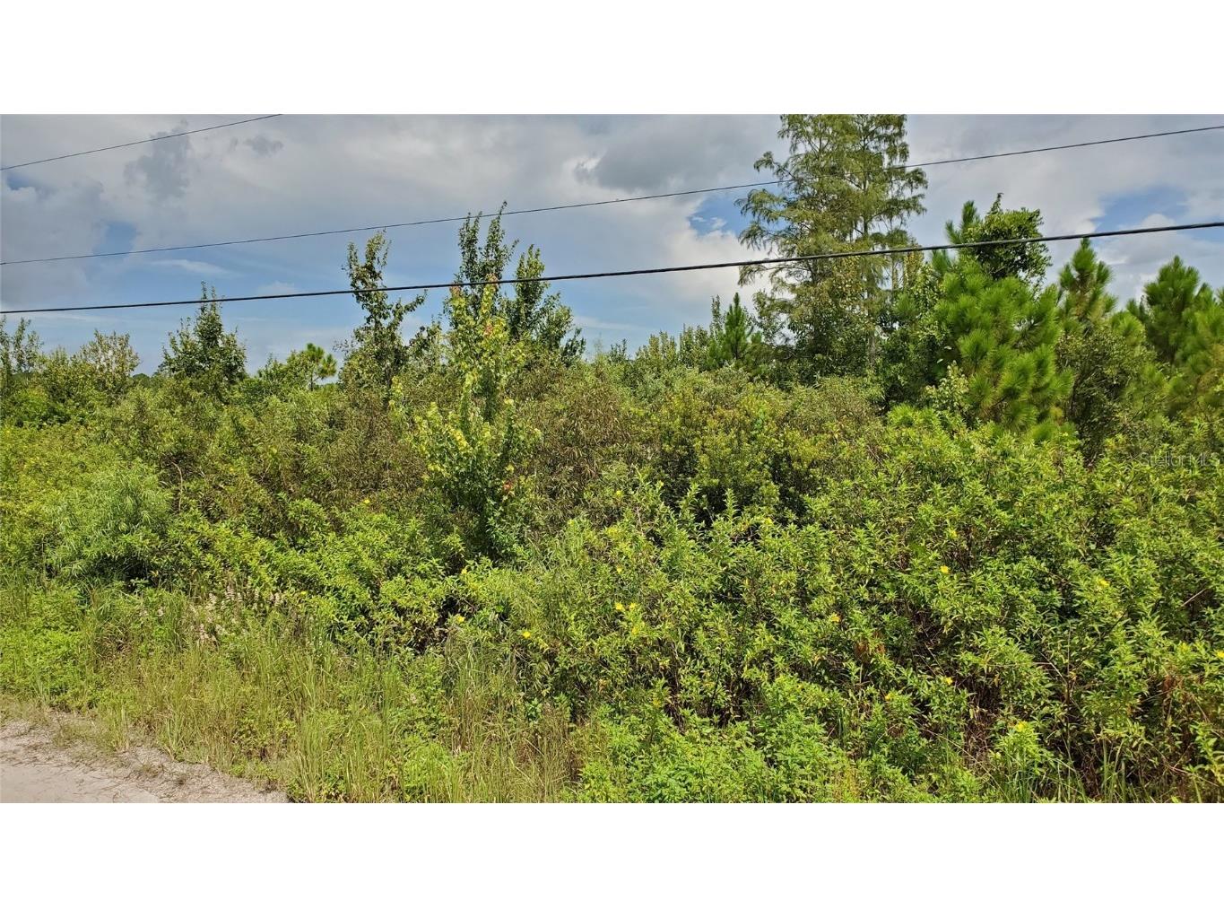 Quail Nest Lane New Smyrna Beach FL 32168 O6295736 image1