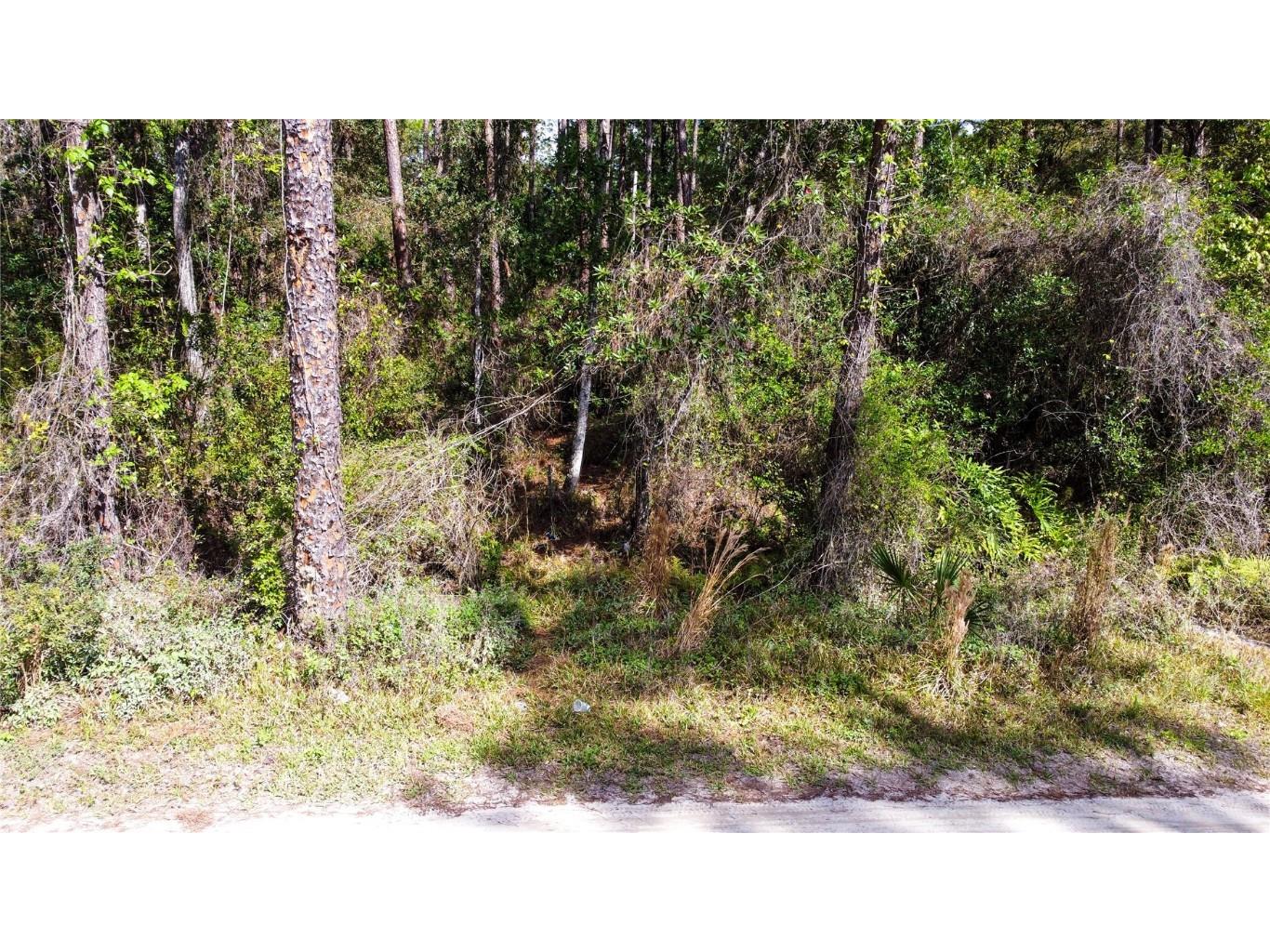 Quail Ranch Road New Smyrna Beach FL 32168 G5093411 image1