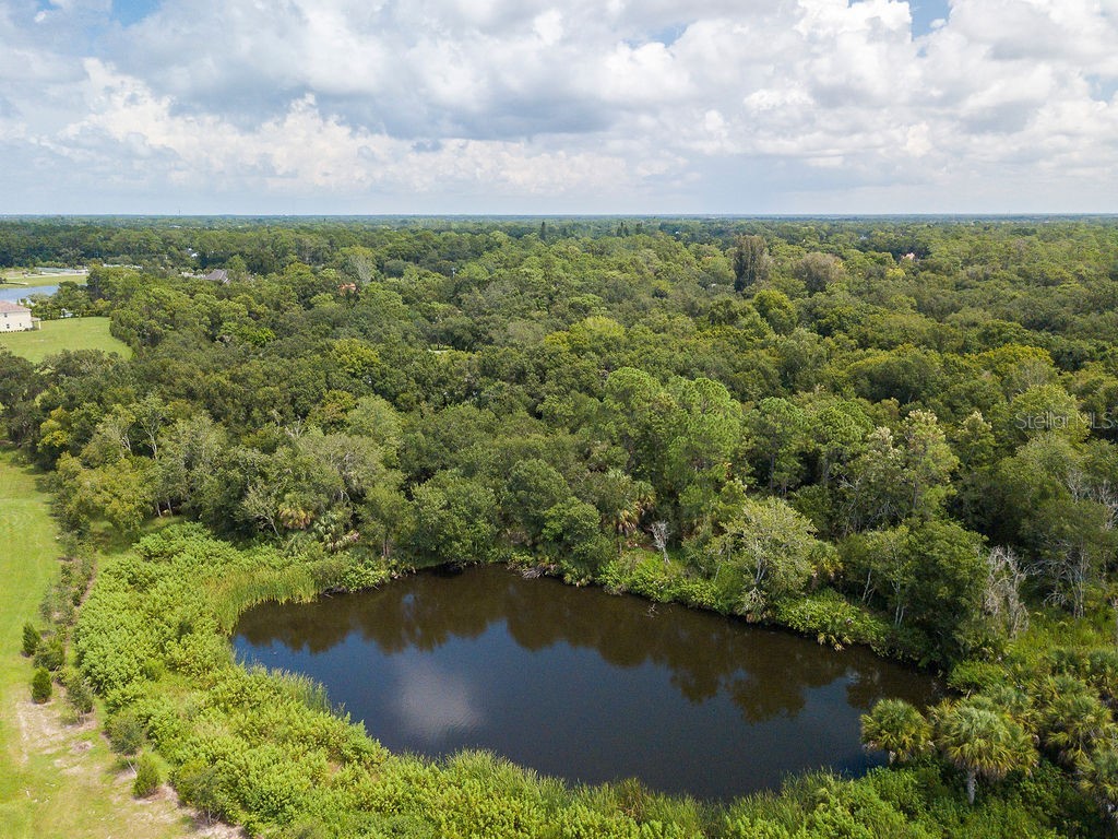 Quarter Horse Road Sarasota FL 34241 A4663028 image13