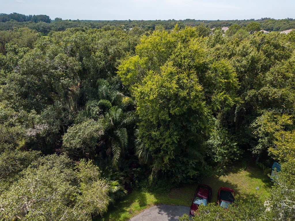 Quarter Horse Road Sarasota FL 34241 A4663028 image14