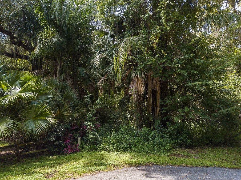 Quarter Horse Road Sarasota FL 34241 A4663028 image15