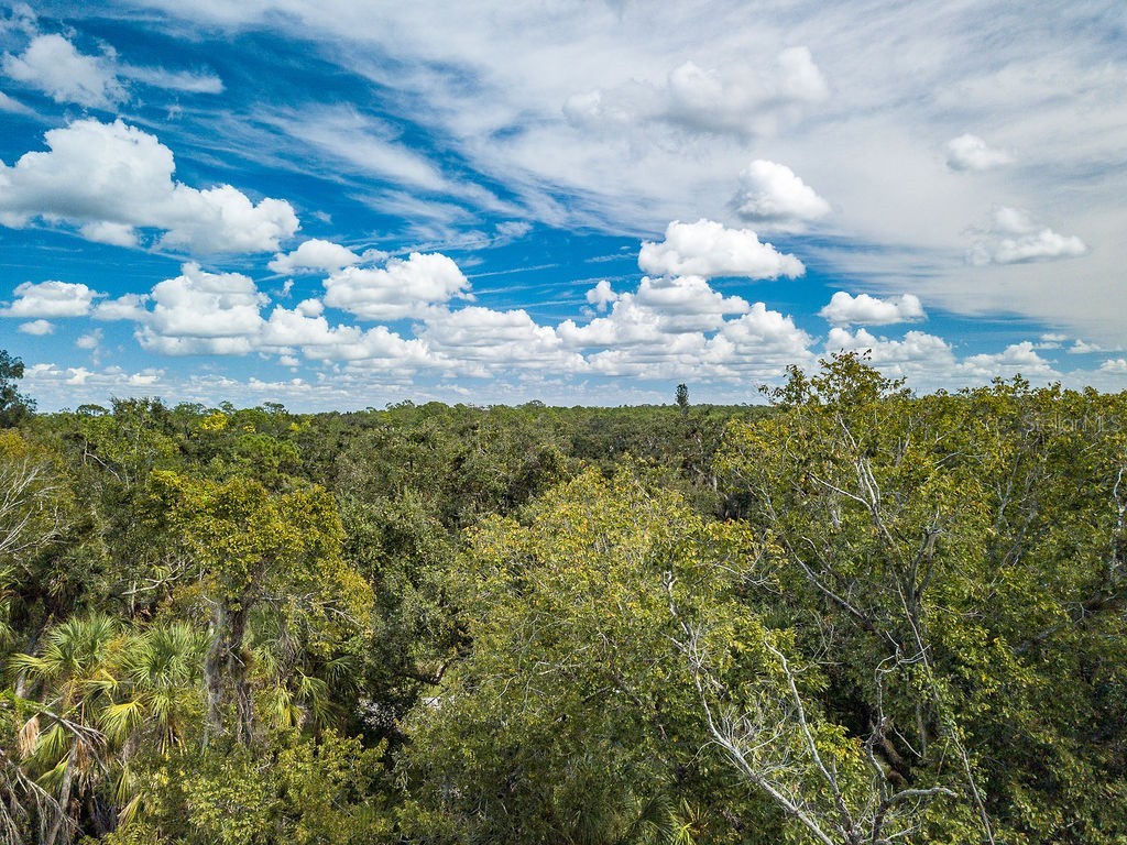 Quarter Horse Road Sarasota FL 34241 A4663028 image5