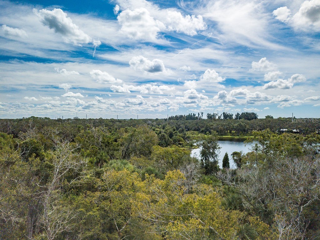 Quarter Horse Road Sarasota FL 34241 A4663028 image6