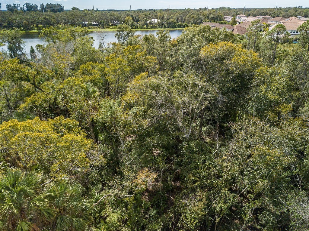 Quarter Horse Road Sarasota FL 34241 A4663028 image9