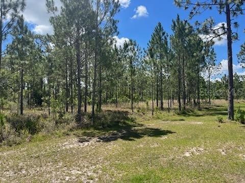 Quarterly Parkway Orlando FL 32833 O6117295 image1