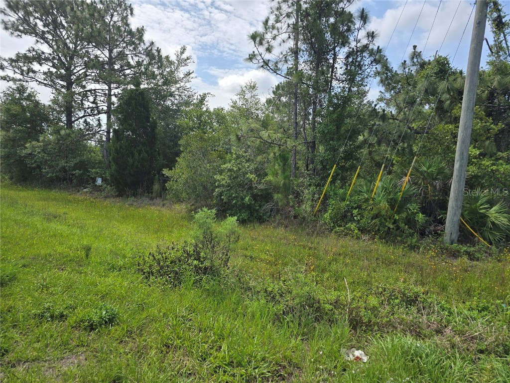 Quarterly Parkway Orlando FL 32833 O6312616 image1