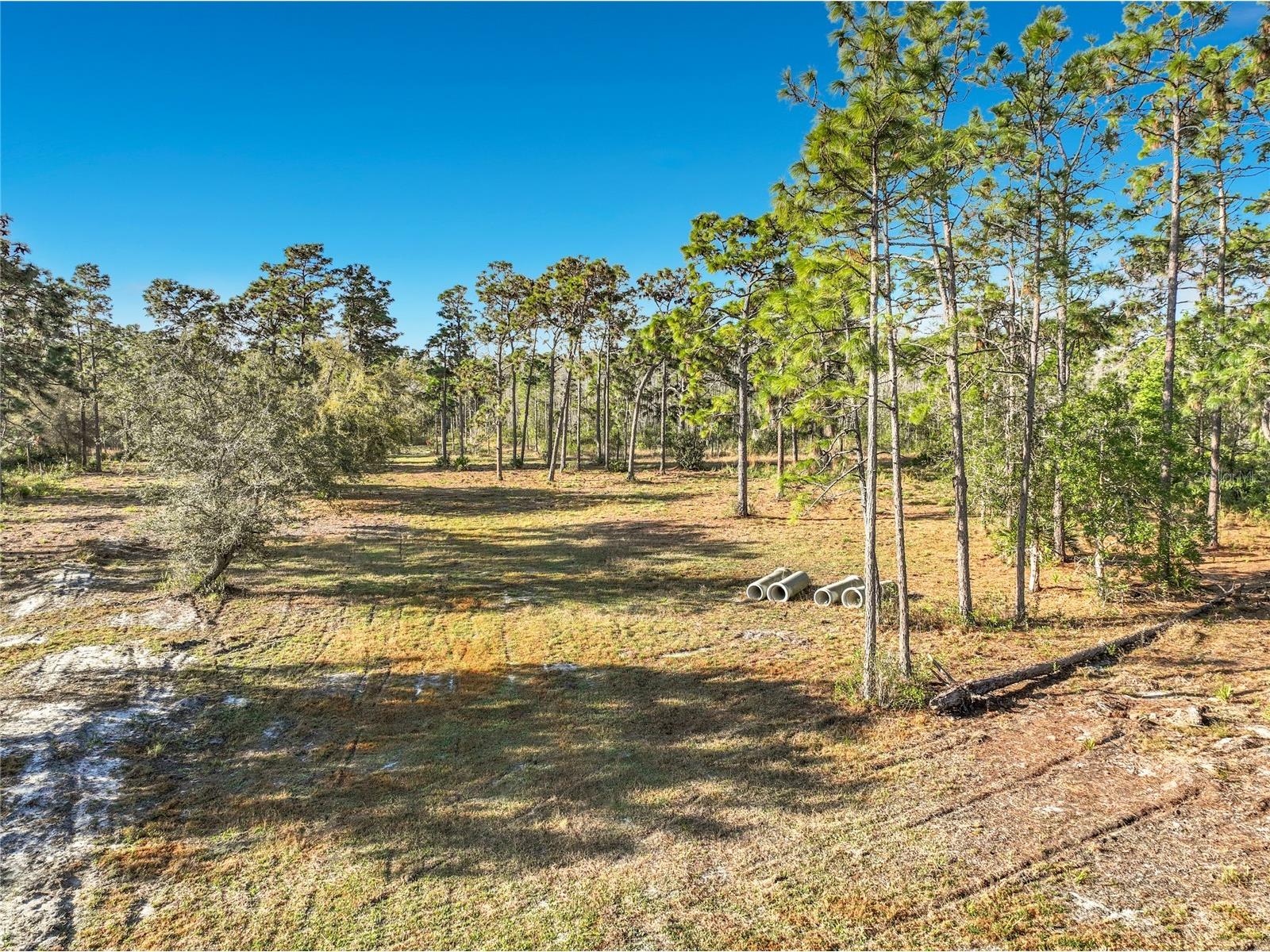 Quarterly Parkway Orlando FL 32833 TB8486504 image7