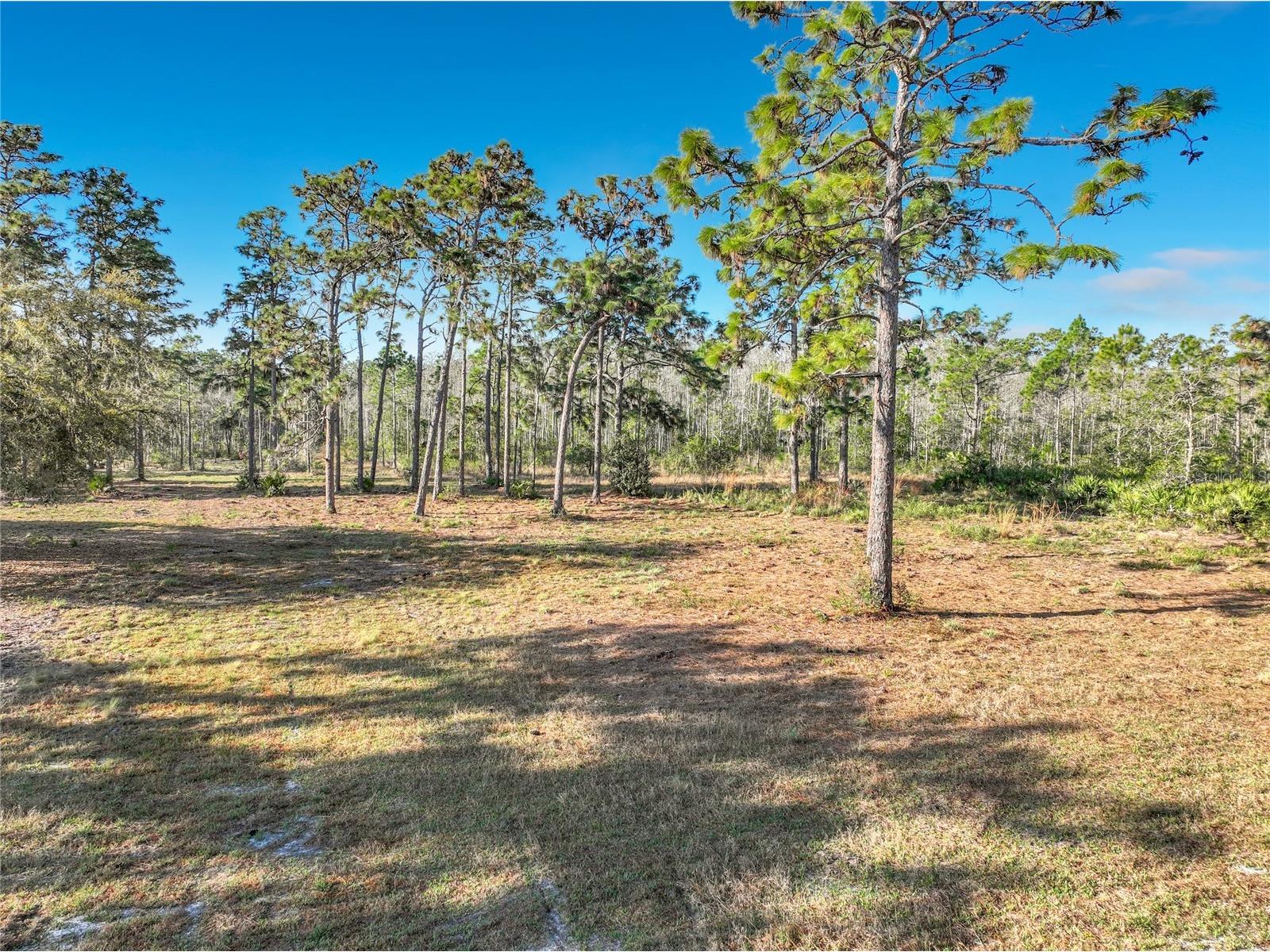 Quarterly Parkway Orlando FL 32833 TB8486504 image8