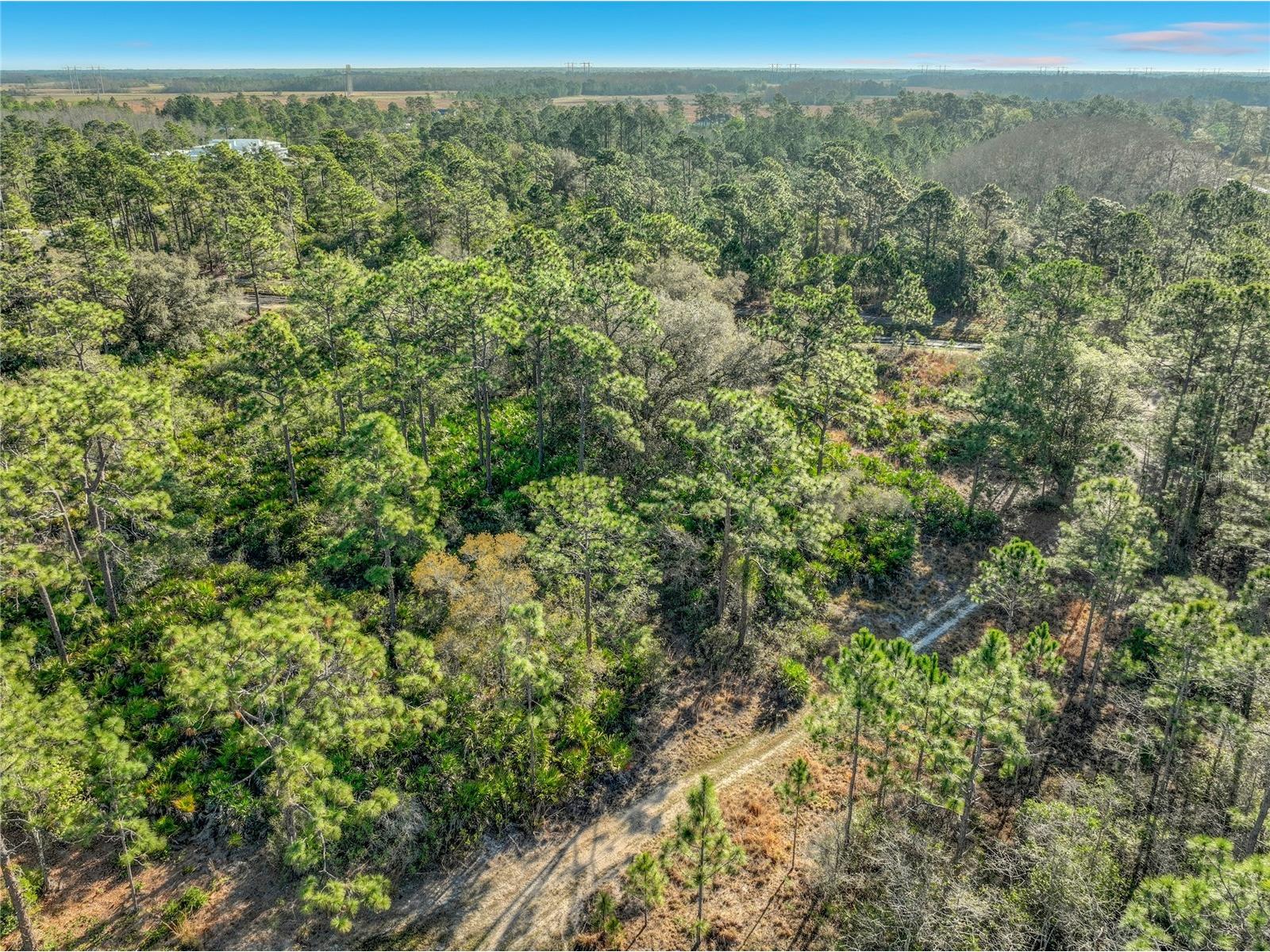 Quarterly Parkway Orlando FL 32833 TB8486504 image9