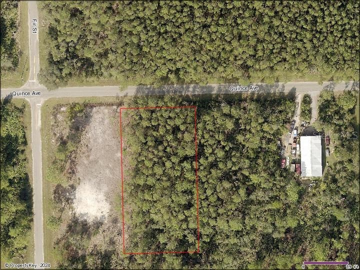 Quince Avenue Eustis FL 32736 - LAKE NORRIS O6179733 image1