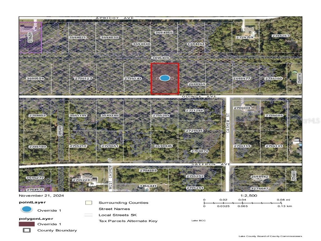 Quince Avenue Eustis FL 32736 O6062663 image3