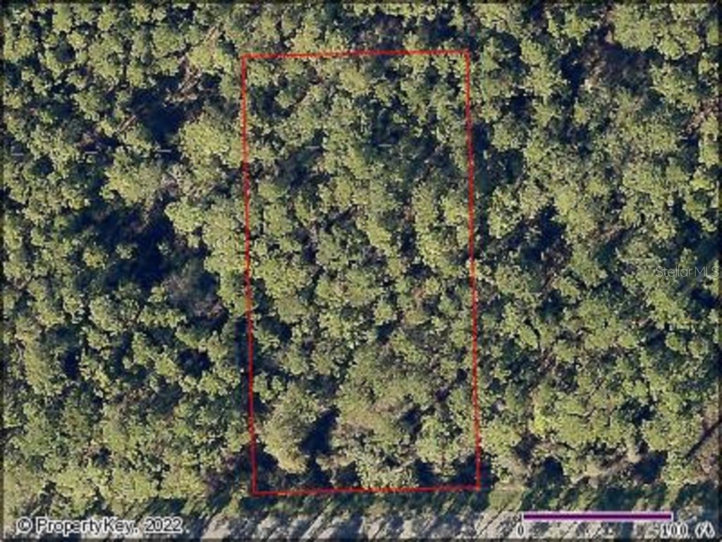 Quince Avenue Eustis FL 32736 O6062663 image4