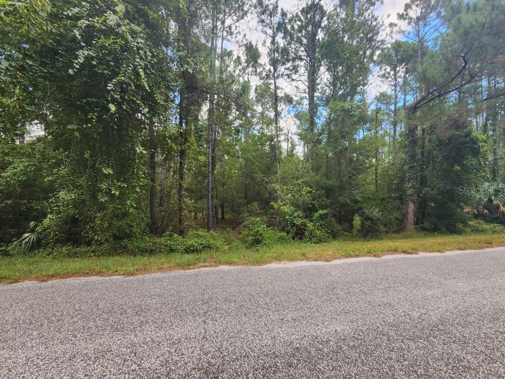 Quince Avenue Eustis FL 32736 S5135677 image1