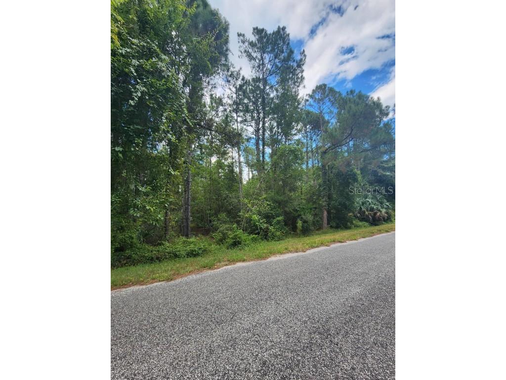 Quince Avenue Eustis FL 32736 S5135677 image2