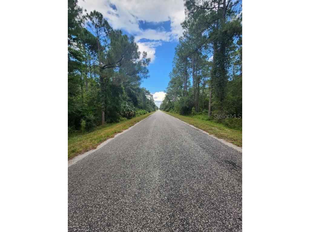 Quince Avenue Eustis FL 32736 S5135677 image3