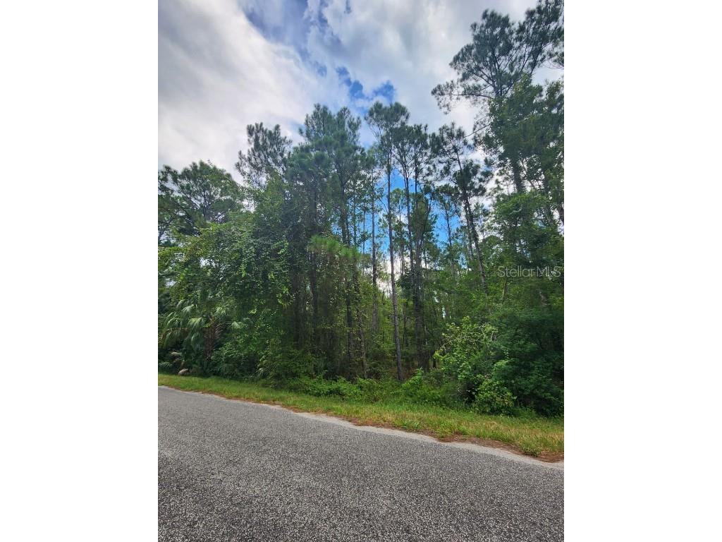 Quince Avenue Eustis FL 32736 S5135677 image4