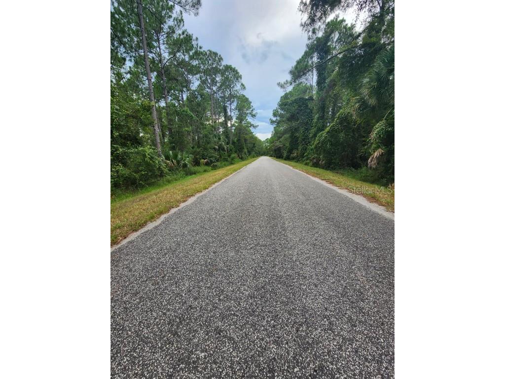 Quince Avenue Eustis FL 32736 S5135677 image5