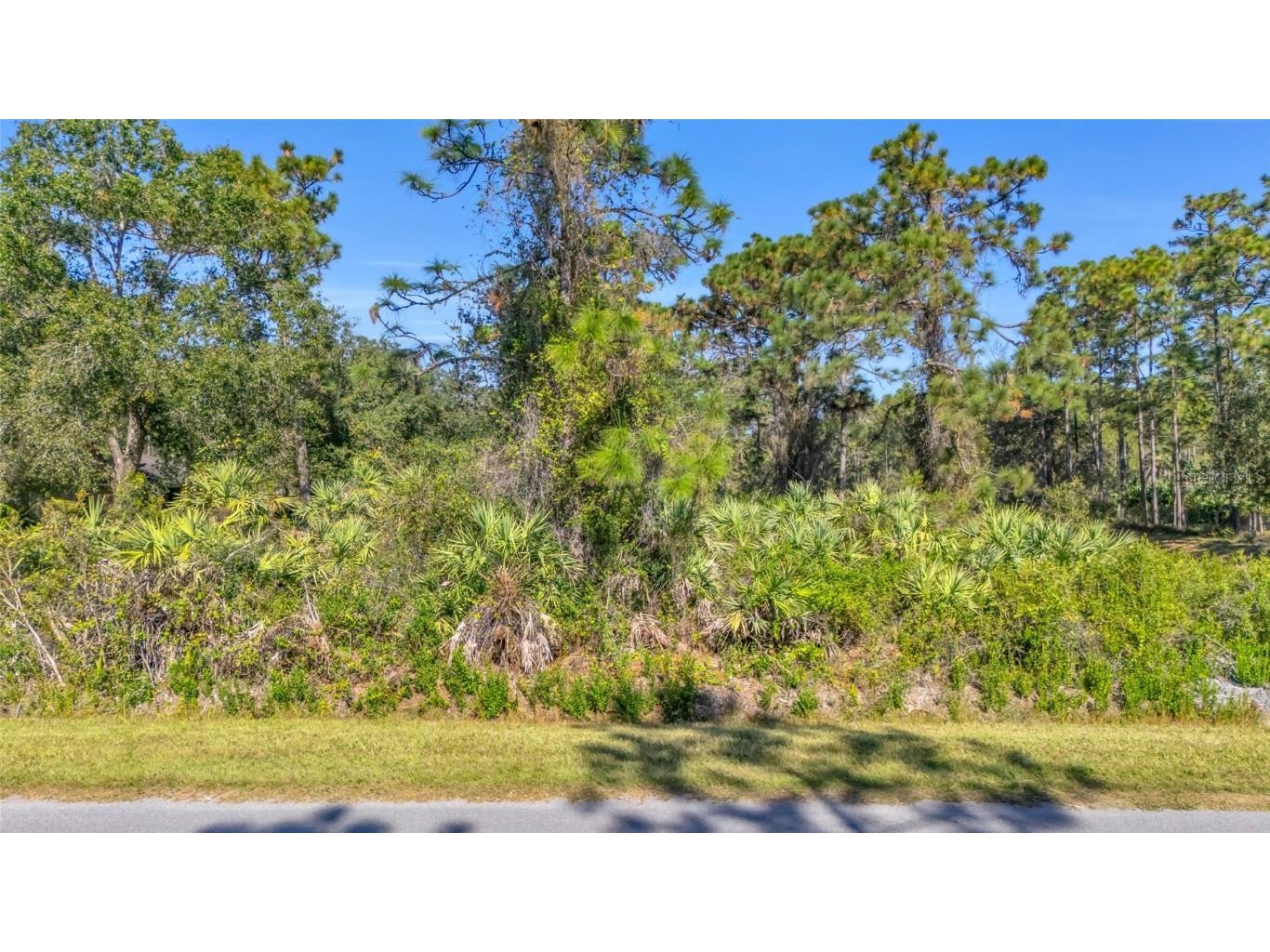 Quinlan Street Orlando FL 32833 O6362891 image1