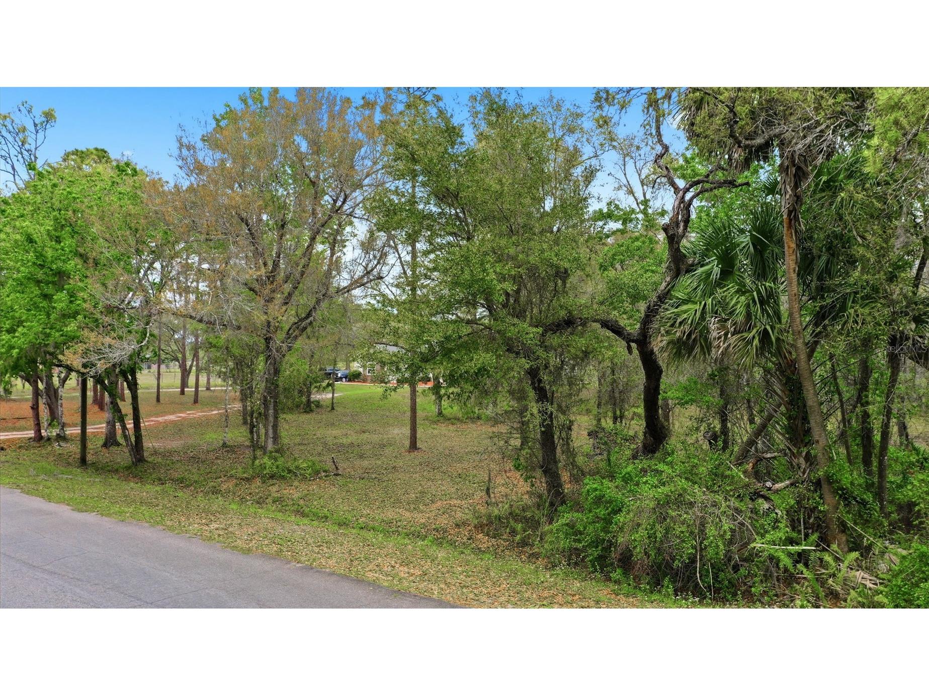 Quinlan Street Orlando FL 32833 O6389810 image2
