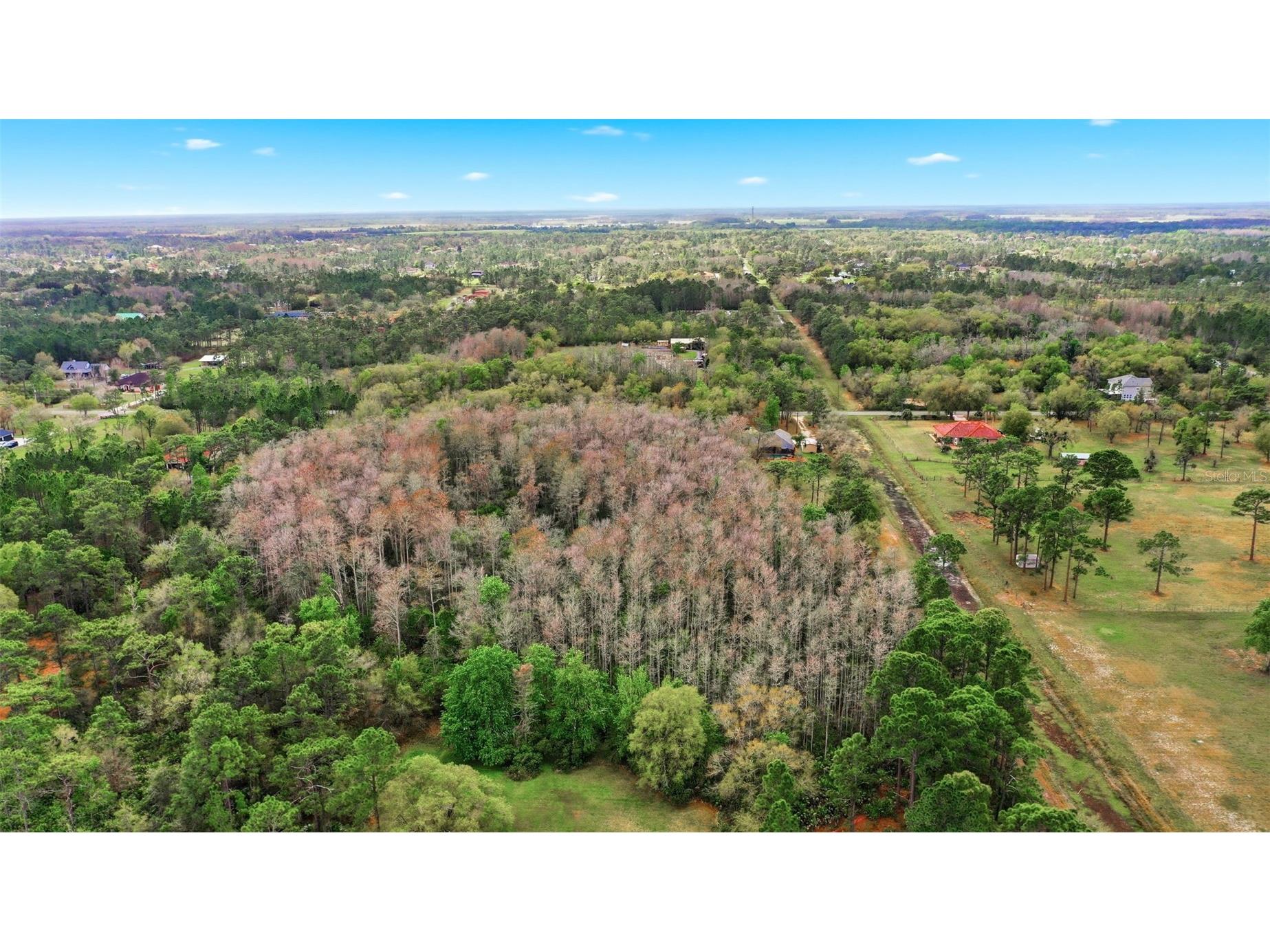 Quinlan Street Orlando FL 32833 O6389815 image11