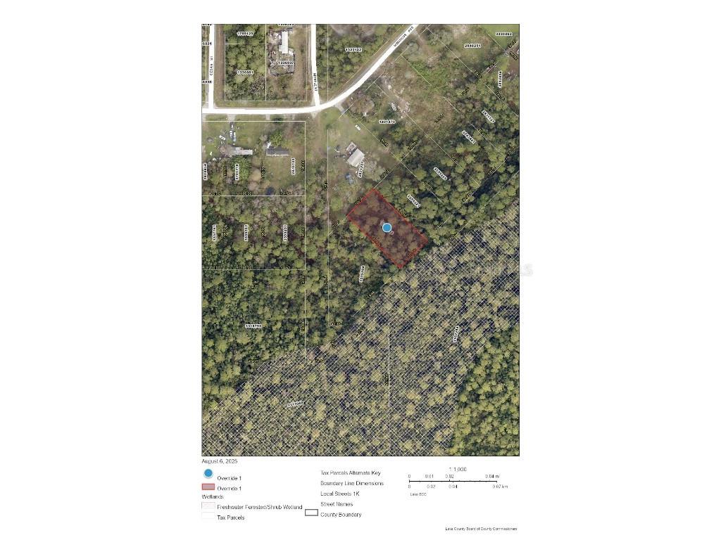 Raccoon Street Paisley FL 32767 V4944189 image1