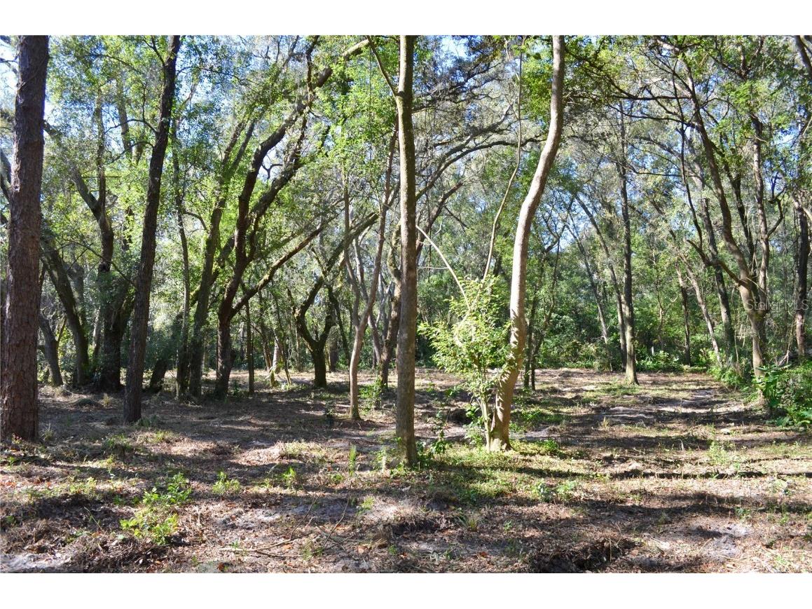 Racine Road Orange City FL 32763 V4932394 image1