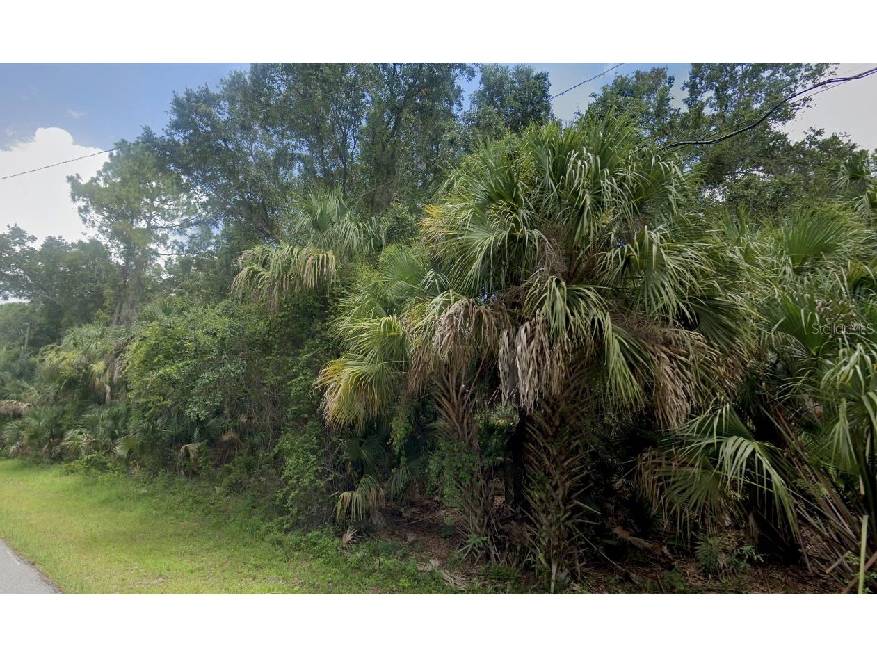 Radcliff Avenue North Port FL 34287 O6186784 image1