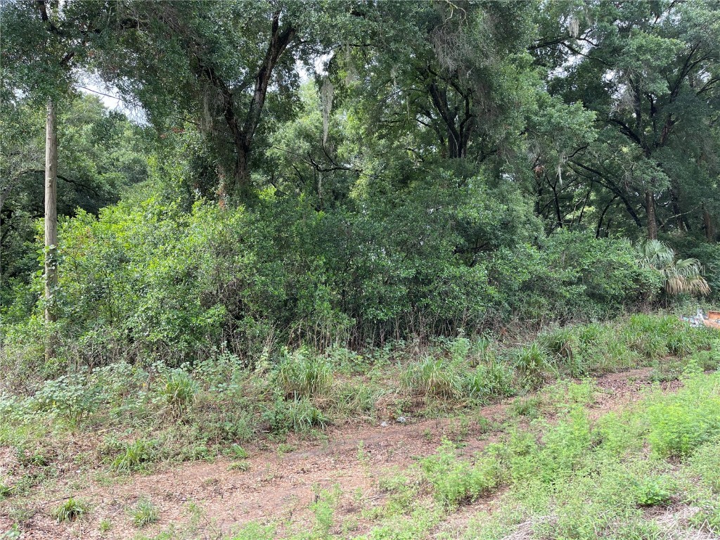 Railroad Street Brandon FL 33510 T3313299 image1