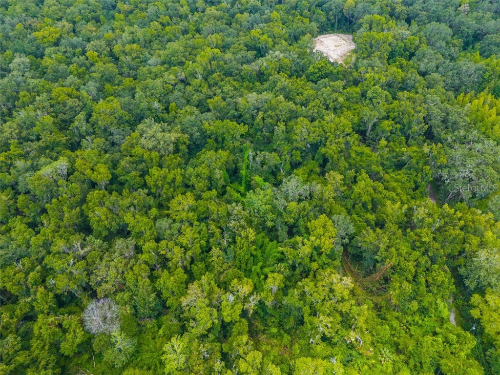 Rain Forest Road Brooksville FL 34601 W7876216 image10