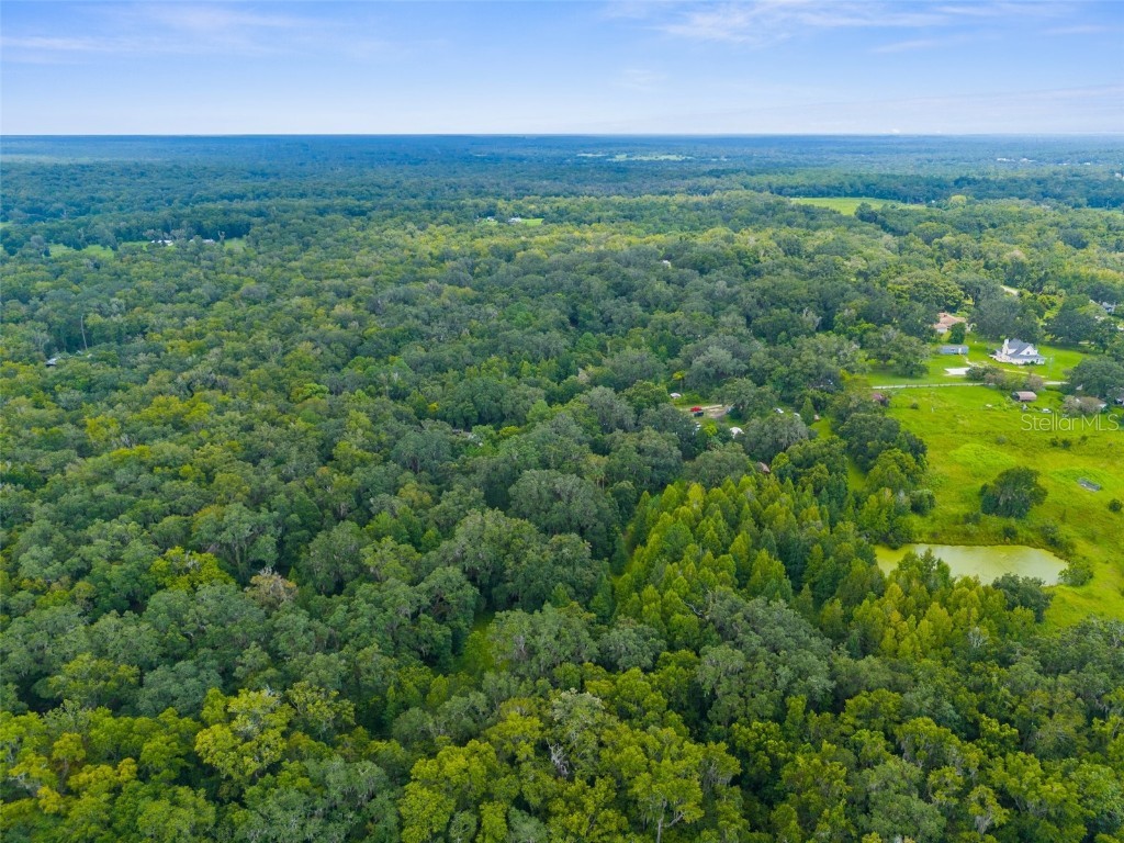 Rain Forest Road Brooksville FL 34601 W7876216 image11