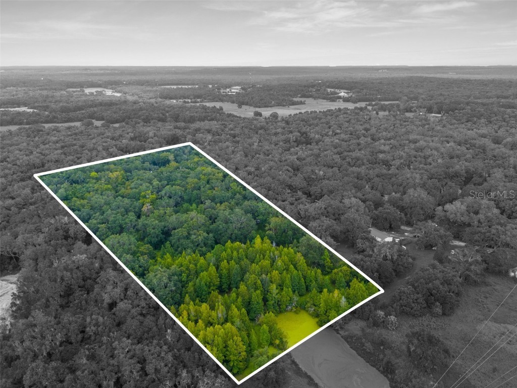 Rain Forest Road Brooksville FL 34601 W7876216 image2