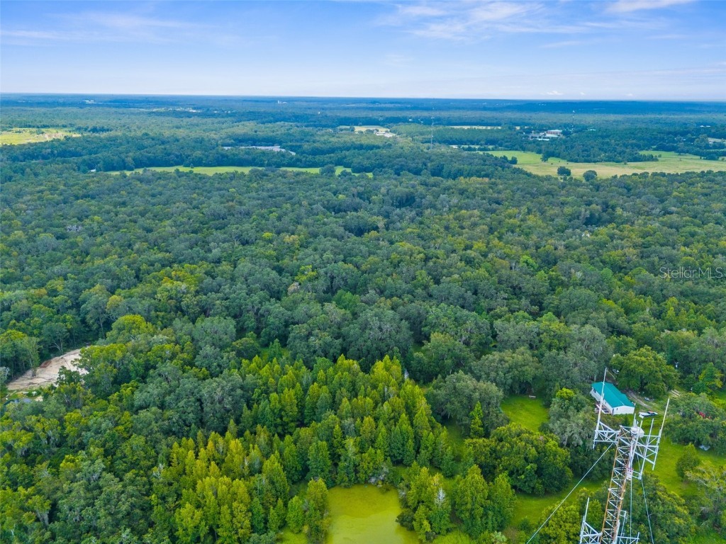Rain Forest Road Brooksville FL 34601 W7876216 image3