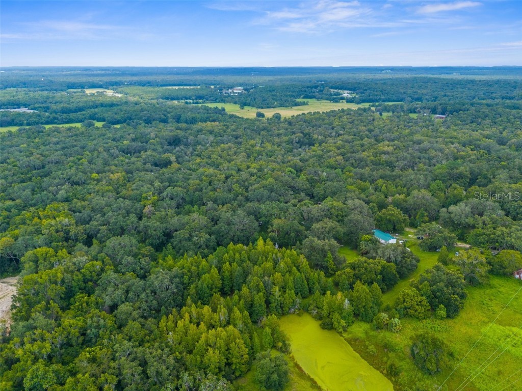 Rain Forest Road Brooksville FL 34601 W7876216 image4