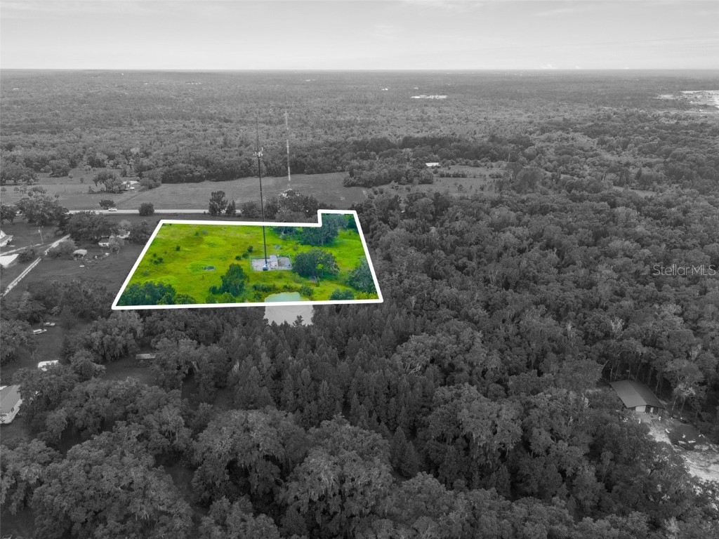 Rain Forest Road Brooksville FL 34601 W7876216 image5