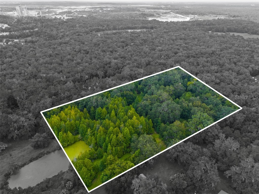 Rain Forest Road Brooksville FL 34601 W7876216 image6