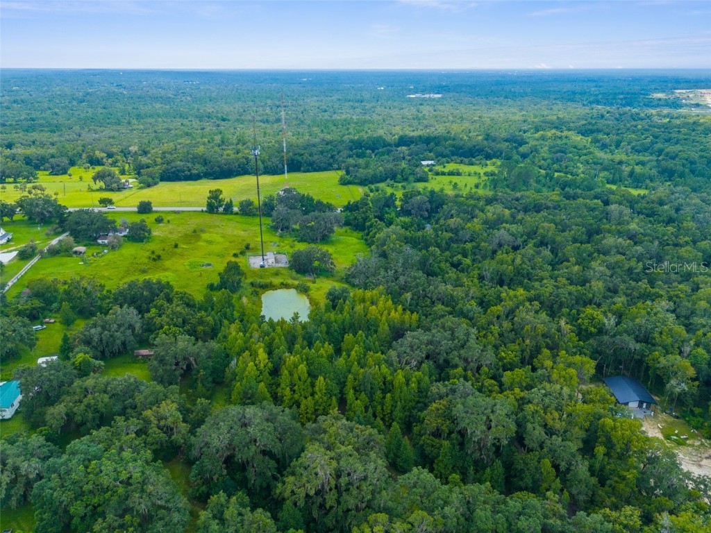 Rain Forest Road Brooksville FL 34601 W7876216 image7