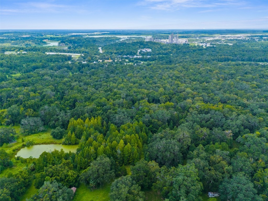 Rain Forest Road Brooksville FL 34601 W7876216 image8