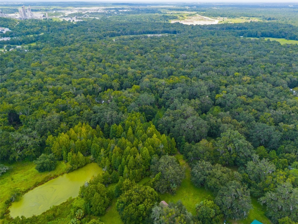 Rain Forest Road Brooksville FL 34601 W7876216 image9